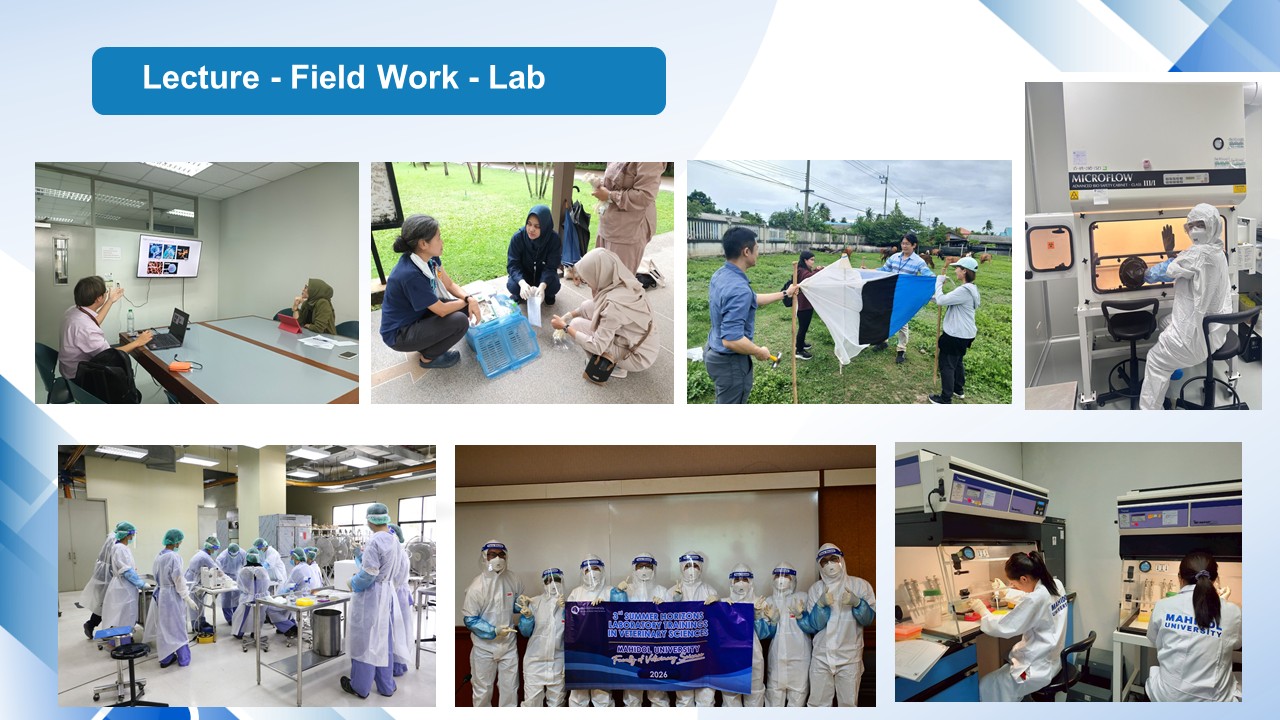 Summer Horizons Laboratory 
